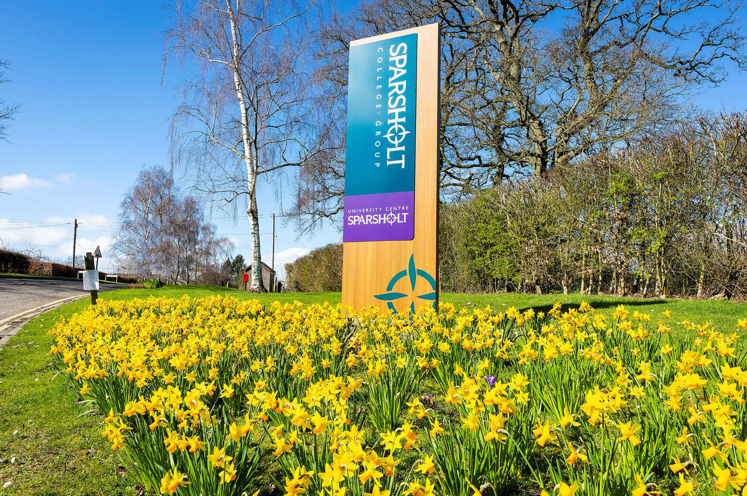 The entrance to Sparsholt Campus, surrounded by daffodils